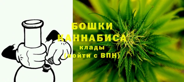 стаф Вяземский