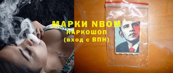 стаф Вяземский