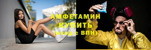 стаф Вяземский